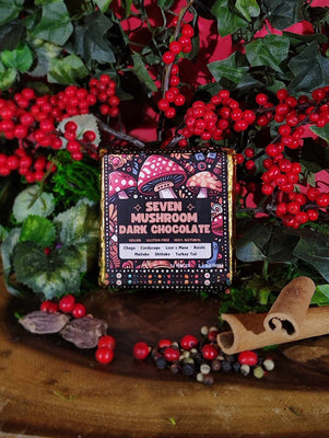Stoffo's Seven Mushroom Dark Chocolate Bar